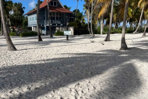 Punta Cana: VIP Private Speedboat Escape to Saona Island