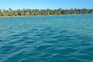 Punta Cana: VIP Private Speedboat Escape to Saona Island