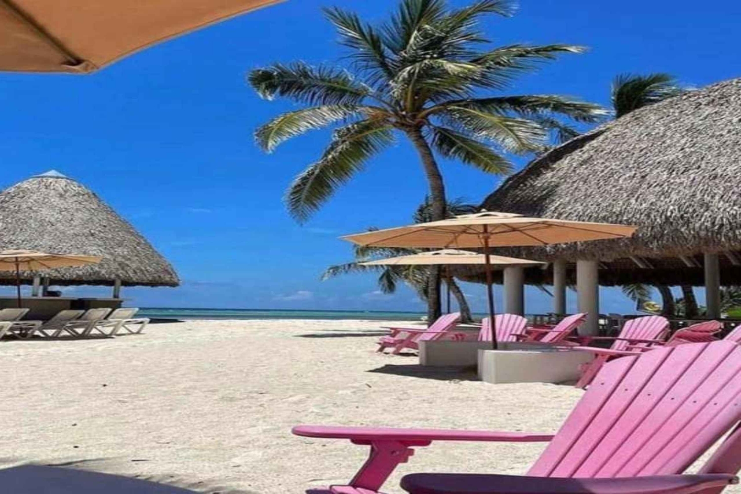 Punta Cana: Water Bike Tour with Snorkeling and Lunch