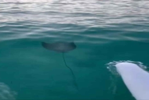 Punta Cana: Water Bike Tour with Snorkeling and Lunch