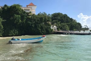 Punta Cana: Whale Watching and Bacardi Island Day Trip