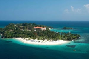Punta Cana: Whale Watching and Bacardi Island Day Trip