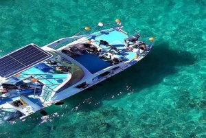 Punta Cana: Whale Watching, Cayo Levantado & Waterfall