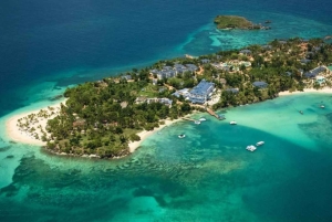 Punta Cana: Whale Watching, Cayo Levantado & Waterfall