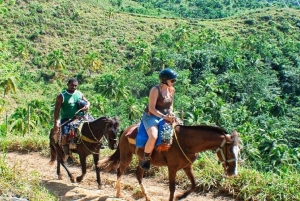 Punta Cana: Whale Watching, Cayo Levantado & Waterfall