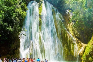 Punta Cana: Whale Watching, Cayo Levantado & Waterfall