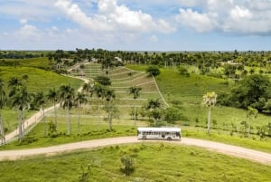Punta Cana: Xploration Animal Park Bus Tour with Encounters