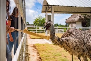 Punta Cana: Xploration Animal Park Bus Tour with Encounters