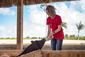 Punta Cana: Xploration Animal Park Bus Tour with Encounters