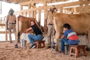 Punta Cana: Xploration Animal Park Bus Tour with Encounters