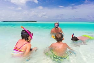 Saona Island Day Tour from Punta Cana with Lunch & Open Bar