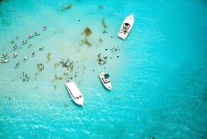 Saona Island Day Tour from Punta Cana with Lunch & Open Bar