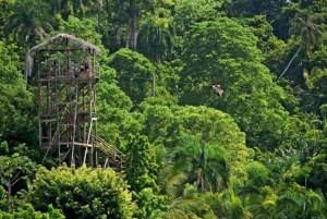 Punta Cana: Zip Line Adventure with Hotel Pickup