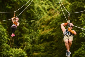 Punta Cana: Zipline-eventyr med henting på hotellet
