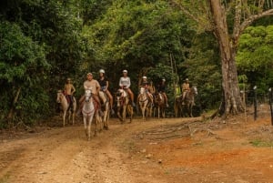 Punta Cana: Aventura en tirolina, telesilla, buggy y caballo
