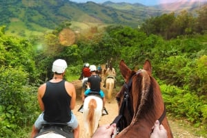 Punta Cana: Zipline, Chairlift, Buggy & Horse Ride Adventure