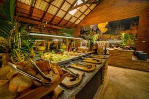 Punta Cana: Zipline, Chairlift, Buggy & Horse Ride Adventure