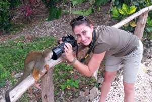Punta Cana: Ziplines Adventures & Monkeyland Entry