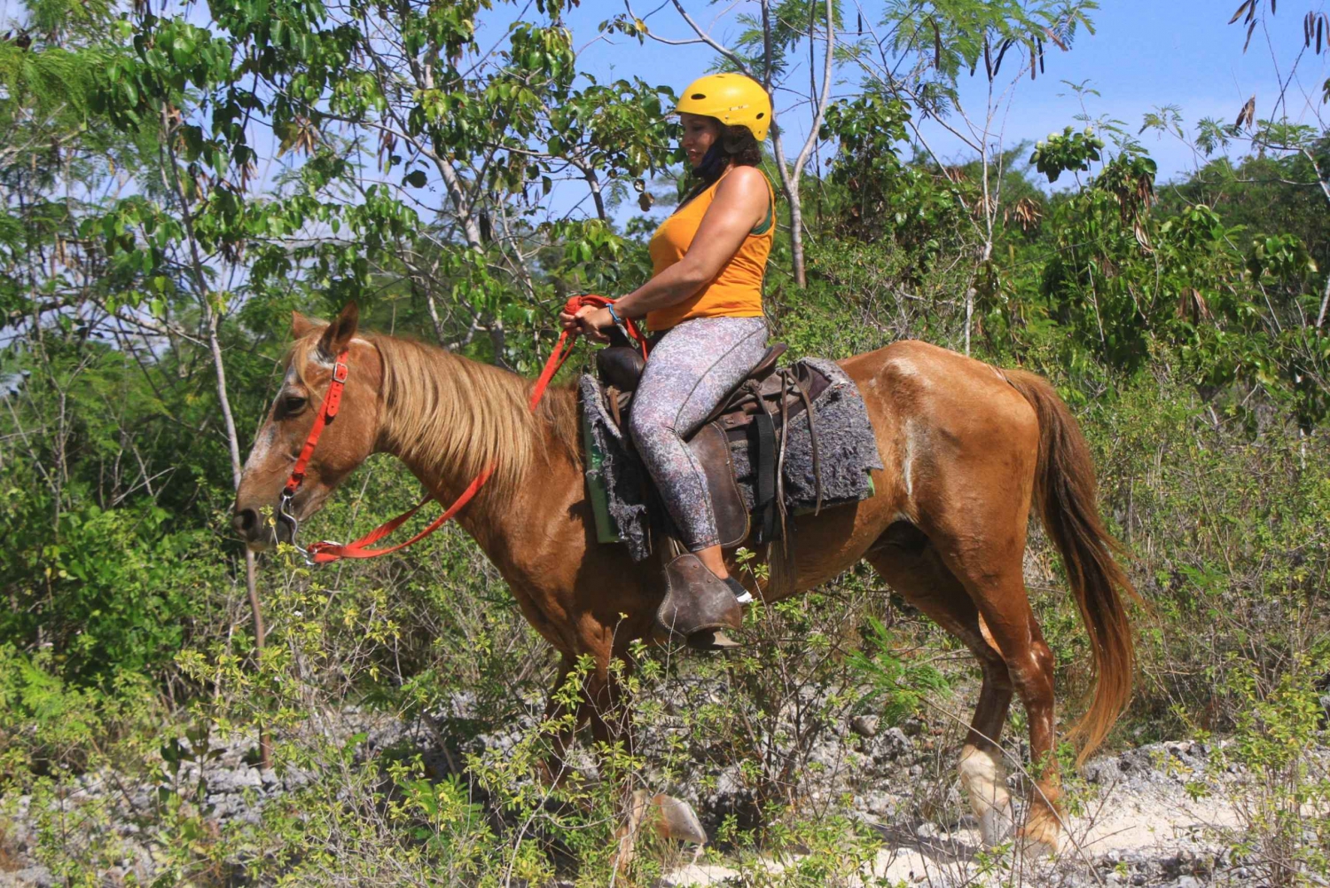 Punta Cana Ziplining, Horseback Riding, and Waterfall Pool in