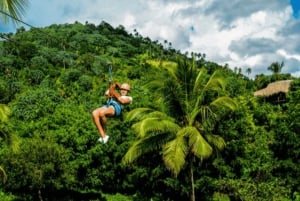 Rainforest Ziplining Adventure