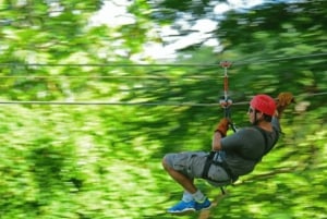 Rainforest Ziplining Adventure