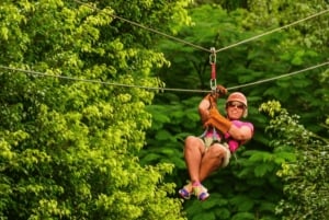 Rainforest Ziplining Adventure