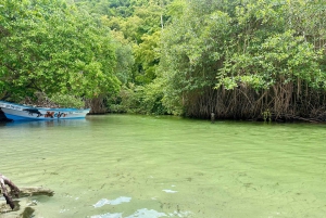 Rincon Beach and Cayo Levantado from Punta Cana