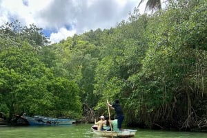 Rincon Beach and Cayo Levantado from Punta Cana