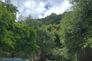 Rincon Beach and Cayo Levantado from Punta Cana