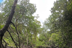 Rincon Beach and Cayo Levantado from Punta Cana