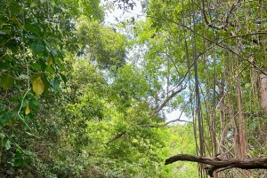 Rincon Beach and Cayo Levantado from Punta Cana