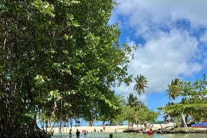 Rincon Beach and Cayo Levantado from Punta Cana