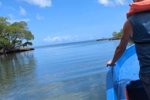 Rio San Juan Guia de 6 horas Gri-Gri Lagoon - Mangove Tour