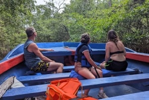 Rio San Juan Guia de 6 horas Gri-Gri Lagoon - Mangove Tour