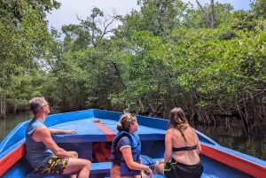 Rio San Juan Guia de 6 horas Gri-Gri Lagoon - Mangove Tour