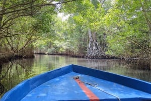Rio San Juan Guia de 6 horas Gri-Gri Lagoon - Mangove Tour
