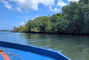 Rio San Juan Guia de 6 horas Gri-Gri Lagoon - Mangove Tour
