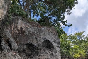 Rio San Juan Guia de 6 horas Gri-Gri Lagoon - Mangove Tour