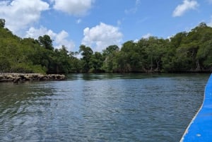 Rio San Juan Guia de 6 horas Gri-Gri Lagoon - Mangove Tour