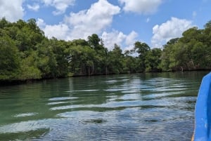 Rio San Juan Guia de 6 horas Gri-Gri Lagoon - Mangove Tour