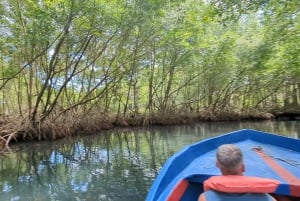 Rio San Juan Guia de 6 horas Gri-Gri Lagoon - Mangove Tour