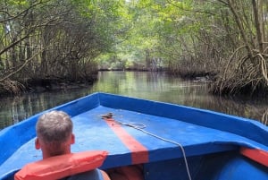 Rio San Juan Guia de 6 horas Gri-Gri Lagoon - Mangove Tour
