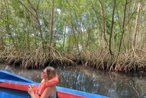 Rio San Juan Guia de 6 horas Gri-Gri Lagoon - Mangove Tour