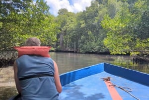 Rio San Juan Guia de 6 horas Gri-Gri Lagoon - Mangove Tour
