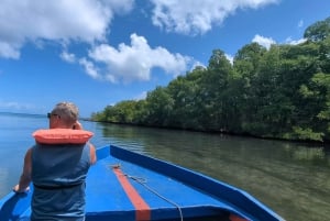 Rio San Juan Guia de 6 horas Gri-Gri Lagoon - Mangove Tour