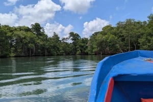 Rio San Juan Guia de 6 horas Gri-Gri Lagoon - Mangove Tour