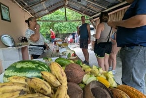 Rio San Juan Guia de 6 horas Gri-Gri Lagoon - Mangove Tour