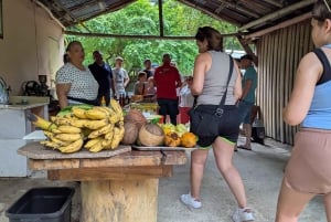 Rio San Juan Guia de 6 horas Gri-Gri Lagoon - Mangove Tour