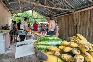 Rio San Juan Guia de 6 horas Gri-Gri Lagoon - Mangove Tour