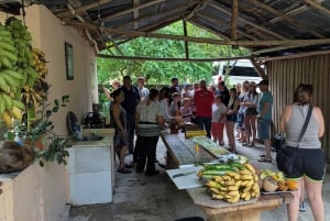 Rio San Juan Guia de 6 horas Gri-Gri Lagoon - Mangove Tour